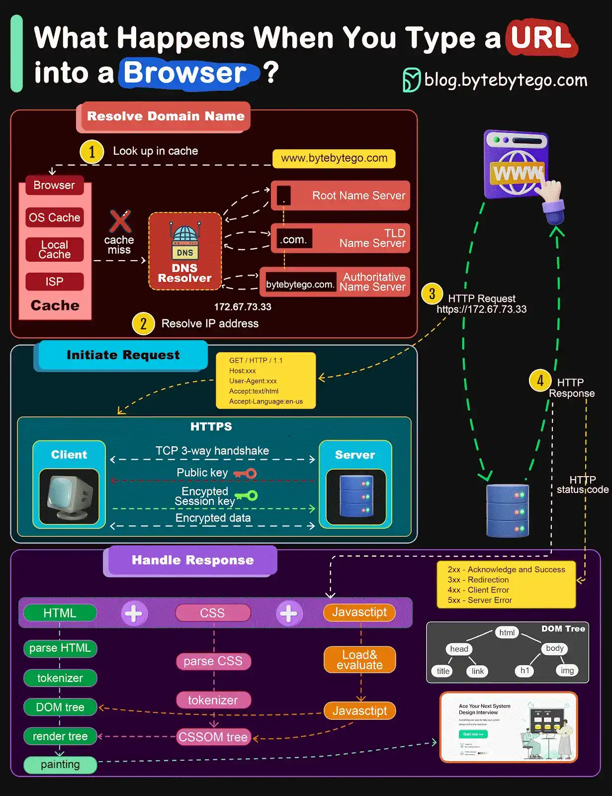 What happens when you type a URL into a browser?